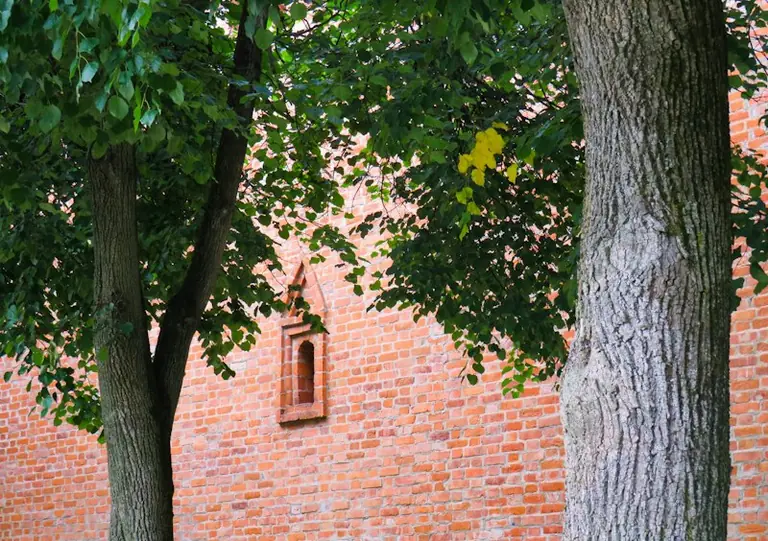 Smoleńsk w 1610 roku: oblężenie, zdobycie i znaczenie