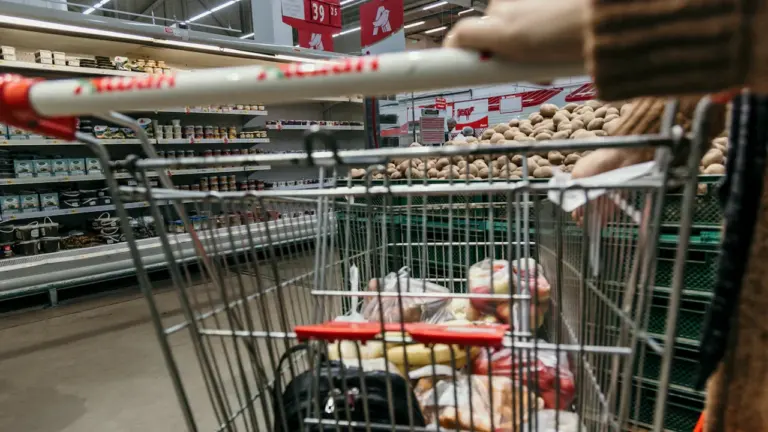 Zakupy w niedzielę 11 października 2026: sprawdź status
